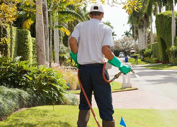 About Theresa NY Pest Control